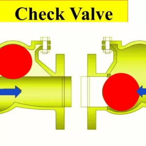 Ball Check Valve IMAGE